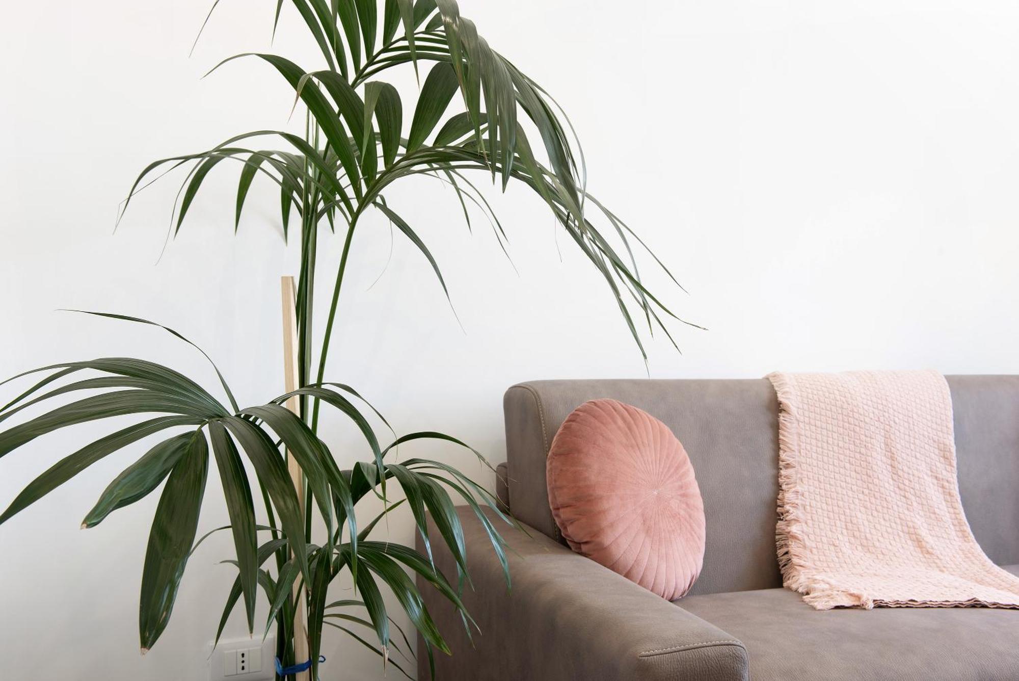 サヴォーナCasa Alba La Casa Delle Coccoleアパートメント エクステリア 写真